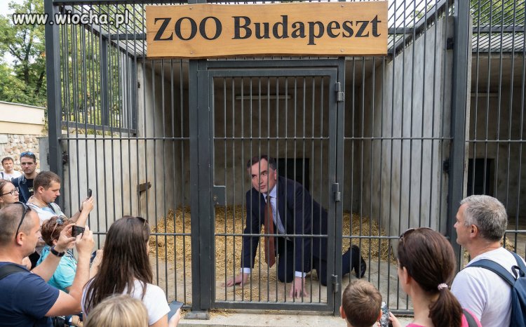 Uwaga niebezpieczne zwierzęta.