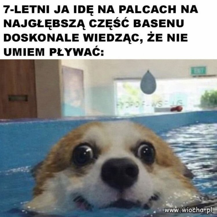Odwaga dzieciństwa