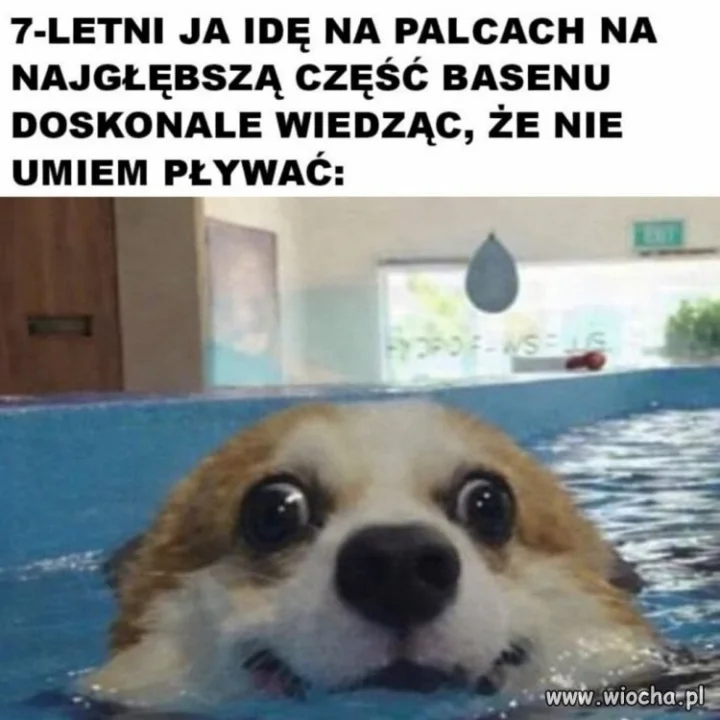Odwaga dzieciństwa