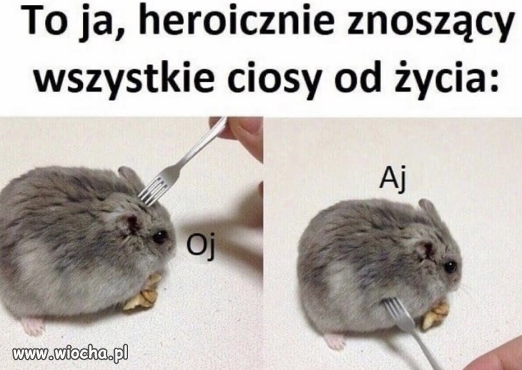 Życie: puk! Ja: ?DLACZEGO JA?!?