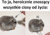 Życie: puk! Ja: ?DLACZEGO JA?!?