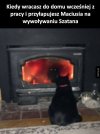 Ten moment, kiedy kot ma swoje mroczne hobby