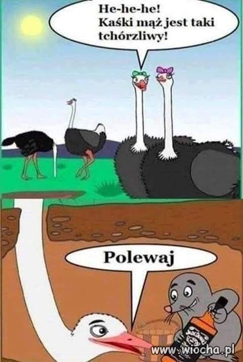 Tchórzliwy? Raczej strategiczny