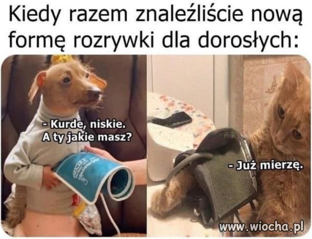 Rozrywka 30+