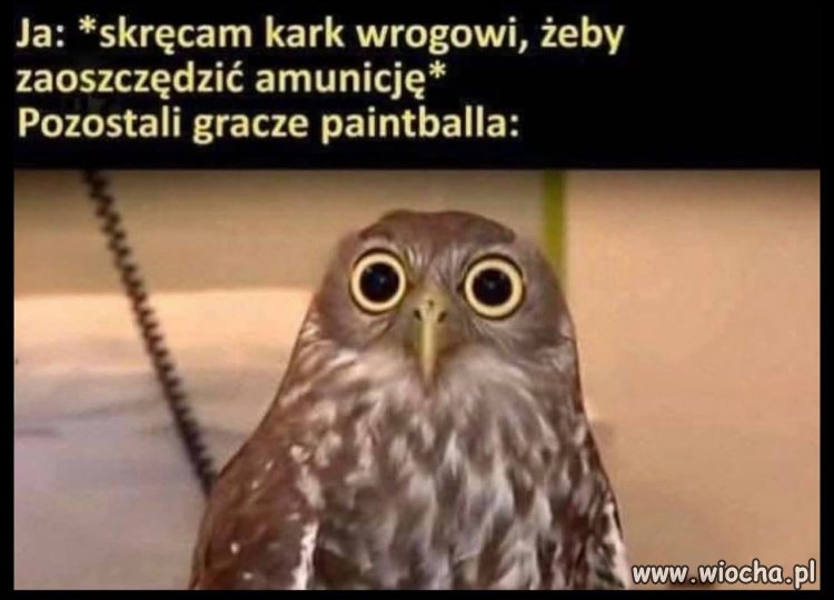 To tak można?