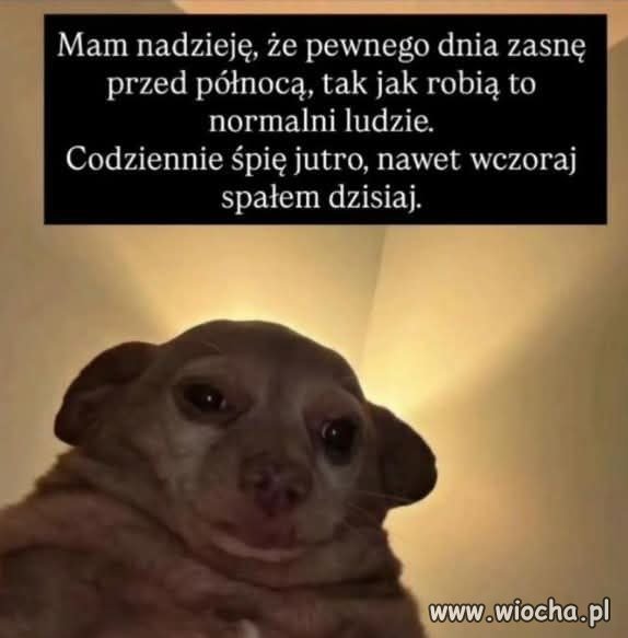 Sen planowany ambitnie