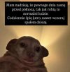 Sen planowany ambitnie
