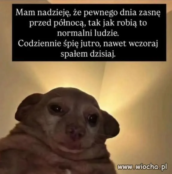 Sen planowany ambitnie
