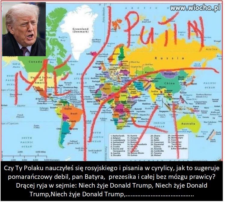 Mokre sny pomarańczowego wariata.