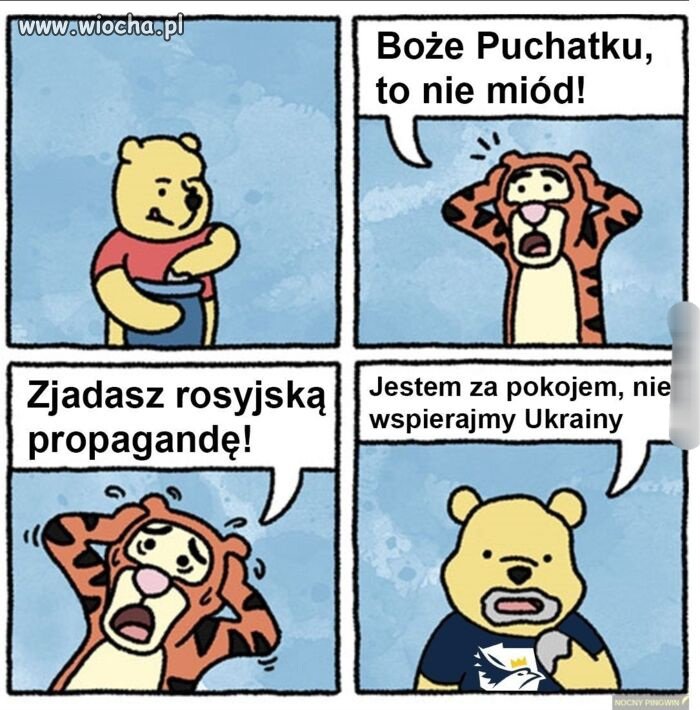 Tak to widzę 
