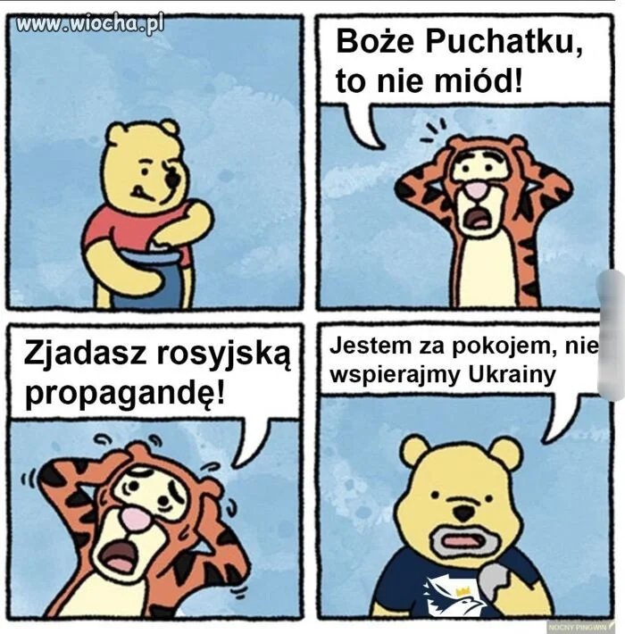 Tak to widzę 