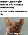 12h snu, efekt jak po tygodniu melanżu
