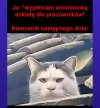 Oferta limitowana