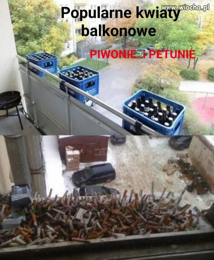 Balkonowy ogródek zaawansowany
