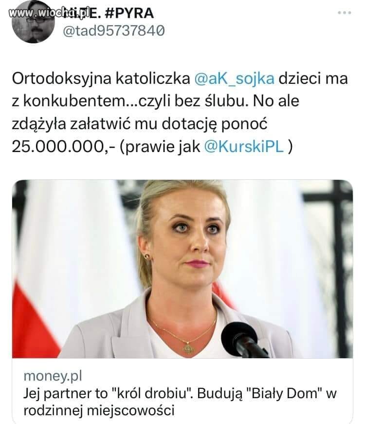 CałyPisKradnie