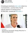 CałyPisKradnie
