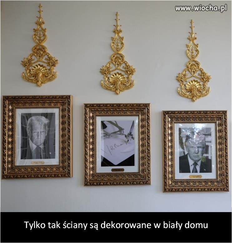 Megalomania, egocentryzm i egoizm.