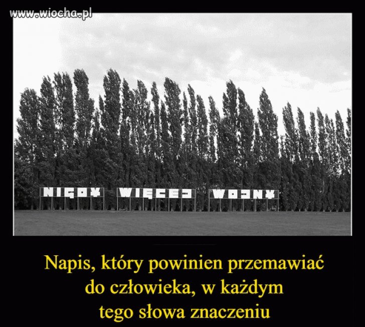 Nic dodać
