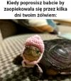 Babcie mają wrodzoną potrzebę dopieszczania wszystkiego, co się rusza