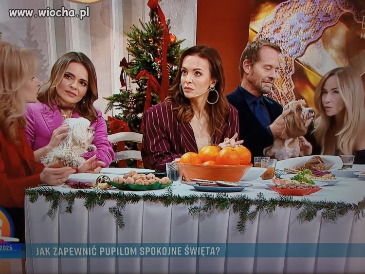 Też byliście przy wigilijnym stole z Waszymi pieskami/kotkami?