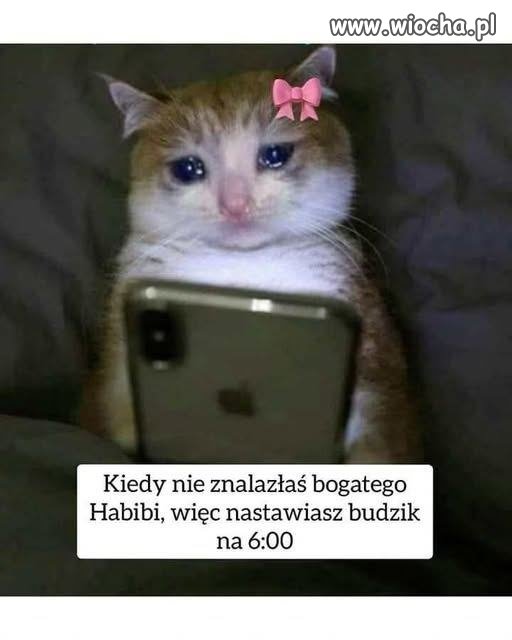 Kiedy marzenia o luksusie przegrywają z budzikiem