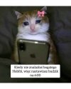 Kiedy marzenia o luksusie przegrywają z budzikiem
