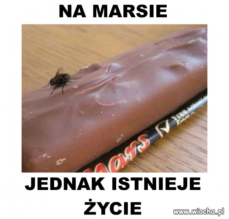 NASA może zamykać programy, internet już odkrył życie