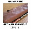 NASA może zamykać programy, internet już odkrył życie