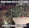 Kocie alibi zbudowane perfekcyjnie