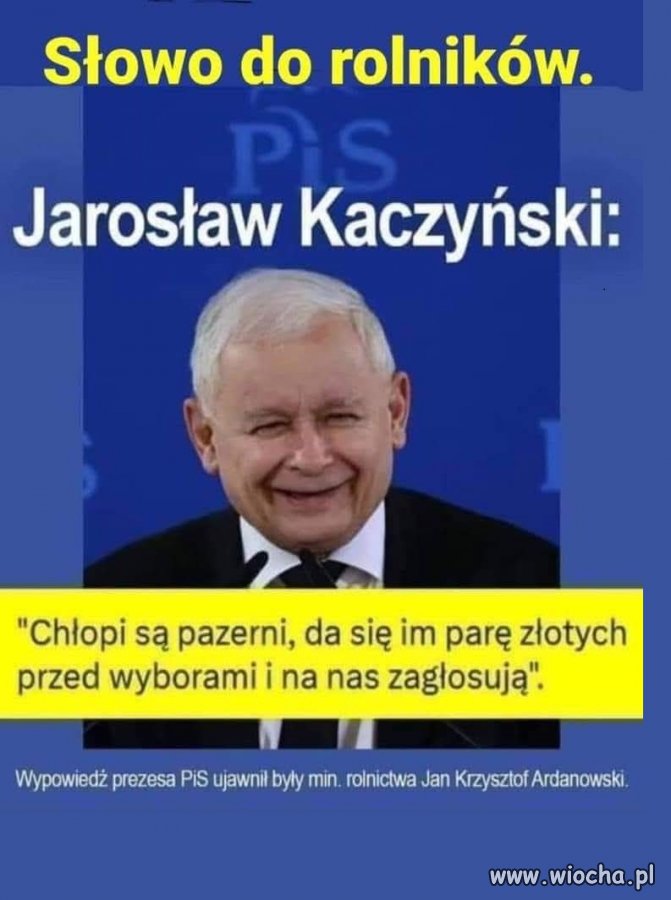 Podobnie wygląda elektorat konfy . 