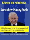 Podobnie wygląda elektorat konfy . 