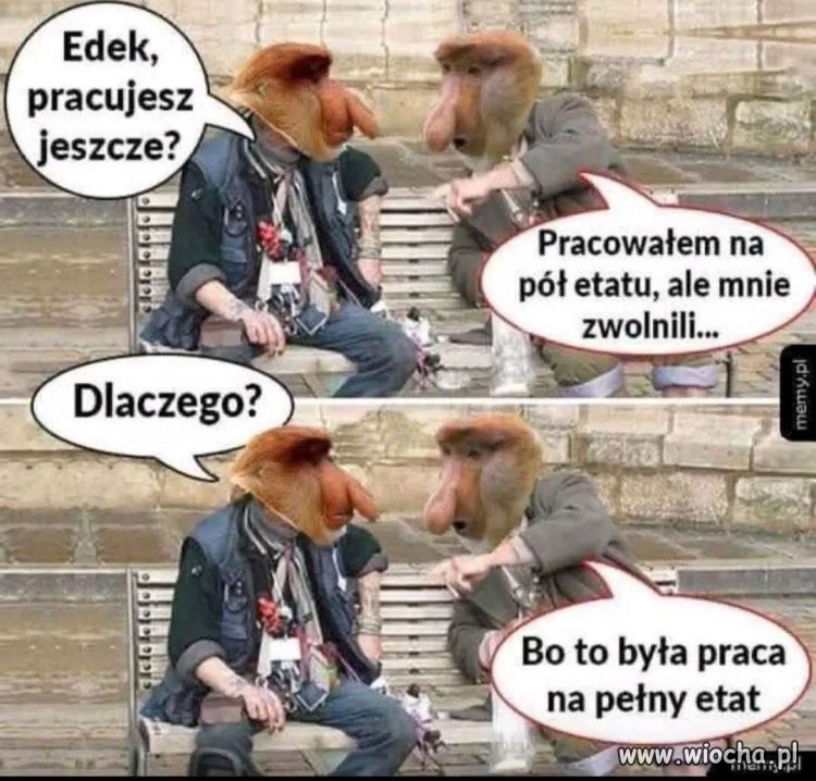 Kiedy pół etatu okazało się pełnym zawodem
