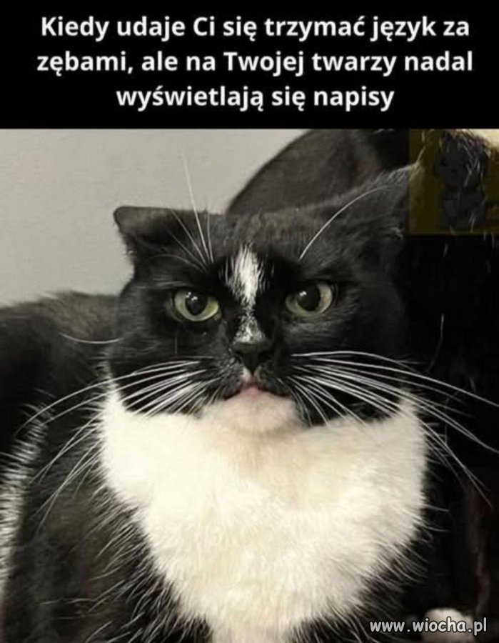 To spojrzenie mówi więcej niż wszystkie słowa