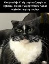 To spojrzenie mówi więcej niż wszystkie słowa