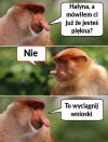 Rozmowa, w której prawda wychodzi szybciej niż uśmiech