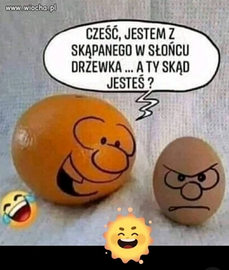 Kiedy ktoś zaczyna rozmowę od flexowania pochodzeniem