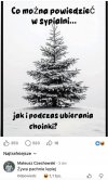 Gdy sens się rozdwaja
