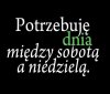 Marzenie każdego dorosłego