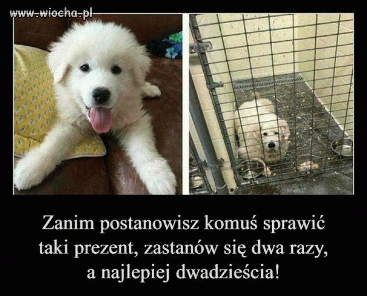 Tyle ode mnie