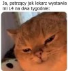 Ten moment, kiedy lekarz mówi dwa tygodnie wolnego, a świat od razu staje się piękniejszy