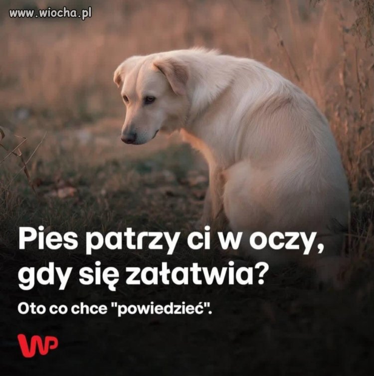 Prosimy o możliwe sugestie w komentarzach