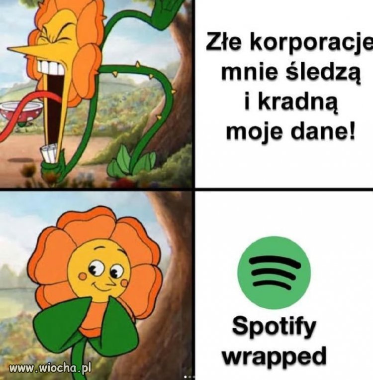 Spędziłeś w tym roku
