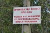 Tyle w temacie