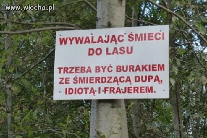 Tyle w temacie
