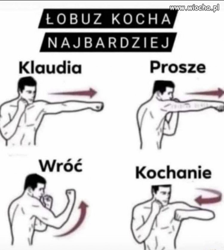 Instrukcja obsługi łobuza