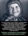 Kochana mądrość pokoleń 
