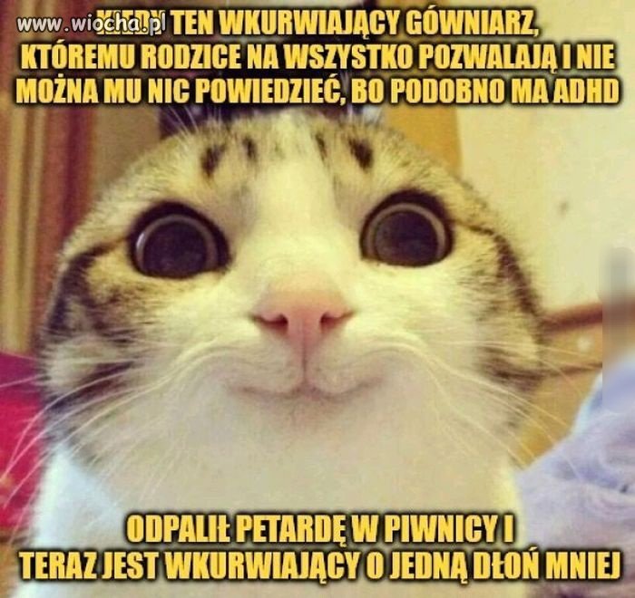 Sylwestrowe zabawy rządzą się swoimi prawami 