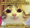 Sylwestrowe zabawy rządzą się swoimi prawami 