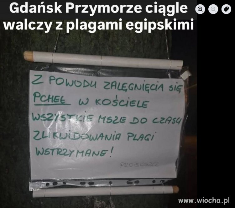 Buk tak chciał