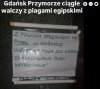 Buk tak chciał